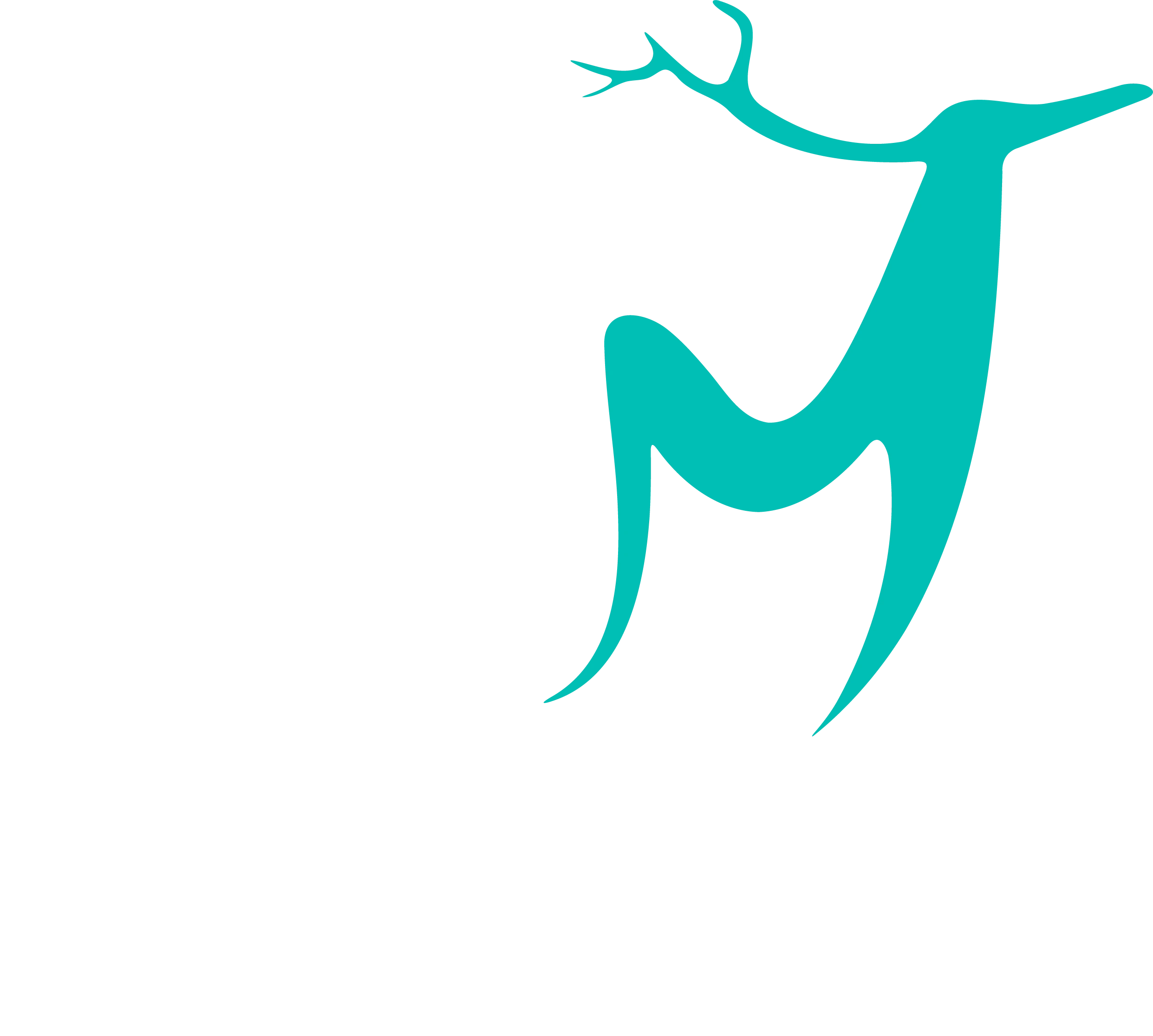 MT Media Hub